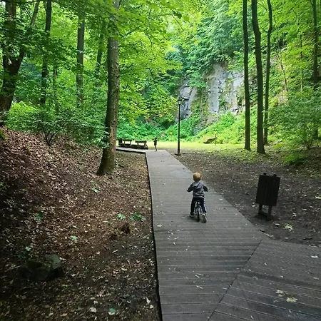 Apartament Park Sobieskiego Apartment Walbrzych